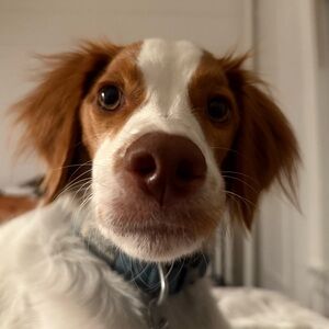 Meet your Posher, Susannah